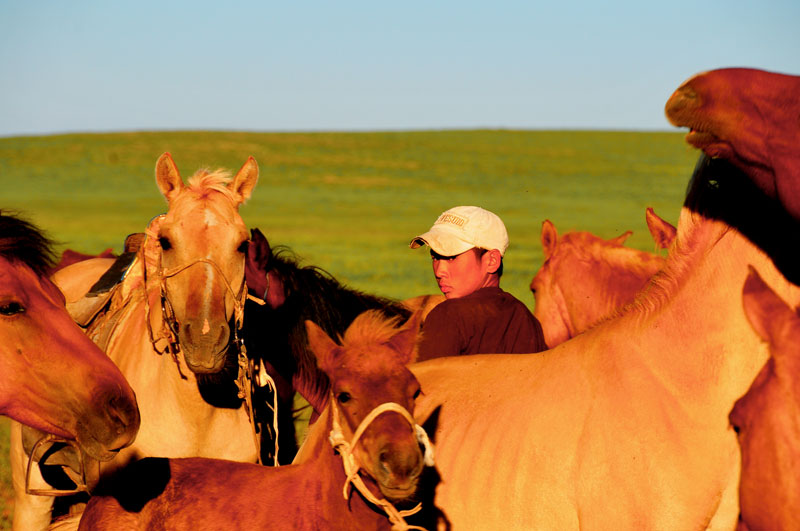 Mongolie